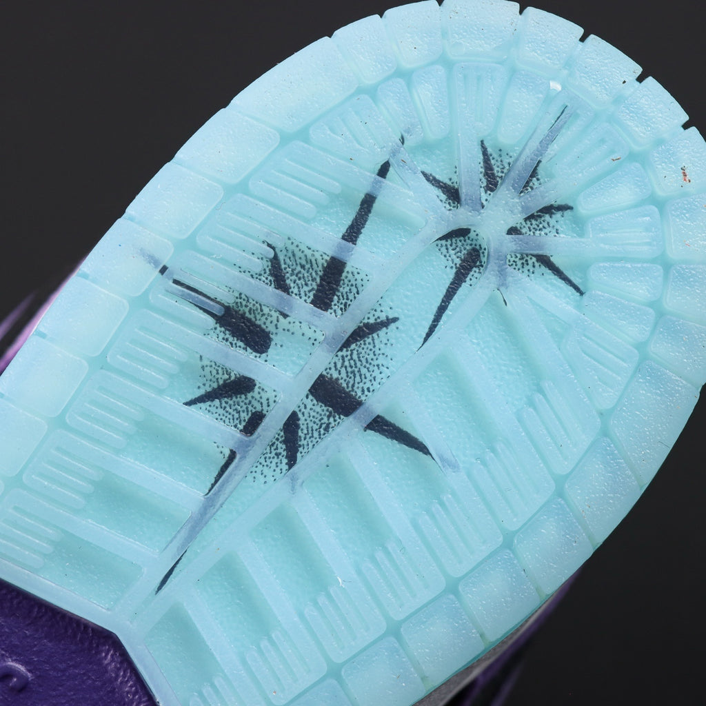 Hayley Wilson x Nike Dunk SB DUNK LOW PRO