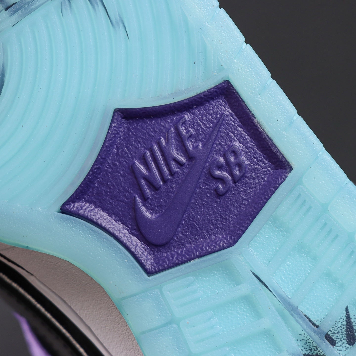 Hayley Wilson x Nike Dunk SB DUNK LOW PRO