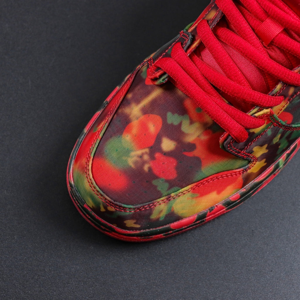 The Wizard of Oz x NIKE SB Dunk Low